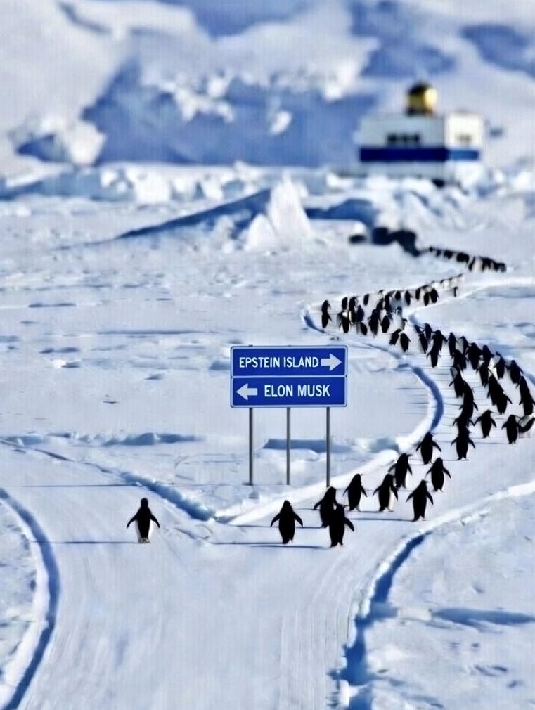 SMX 🇺🇸 tweet media