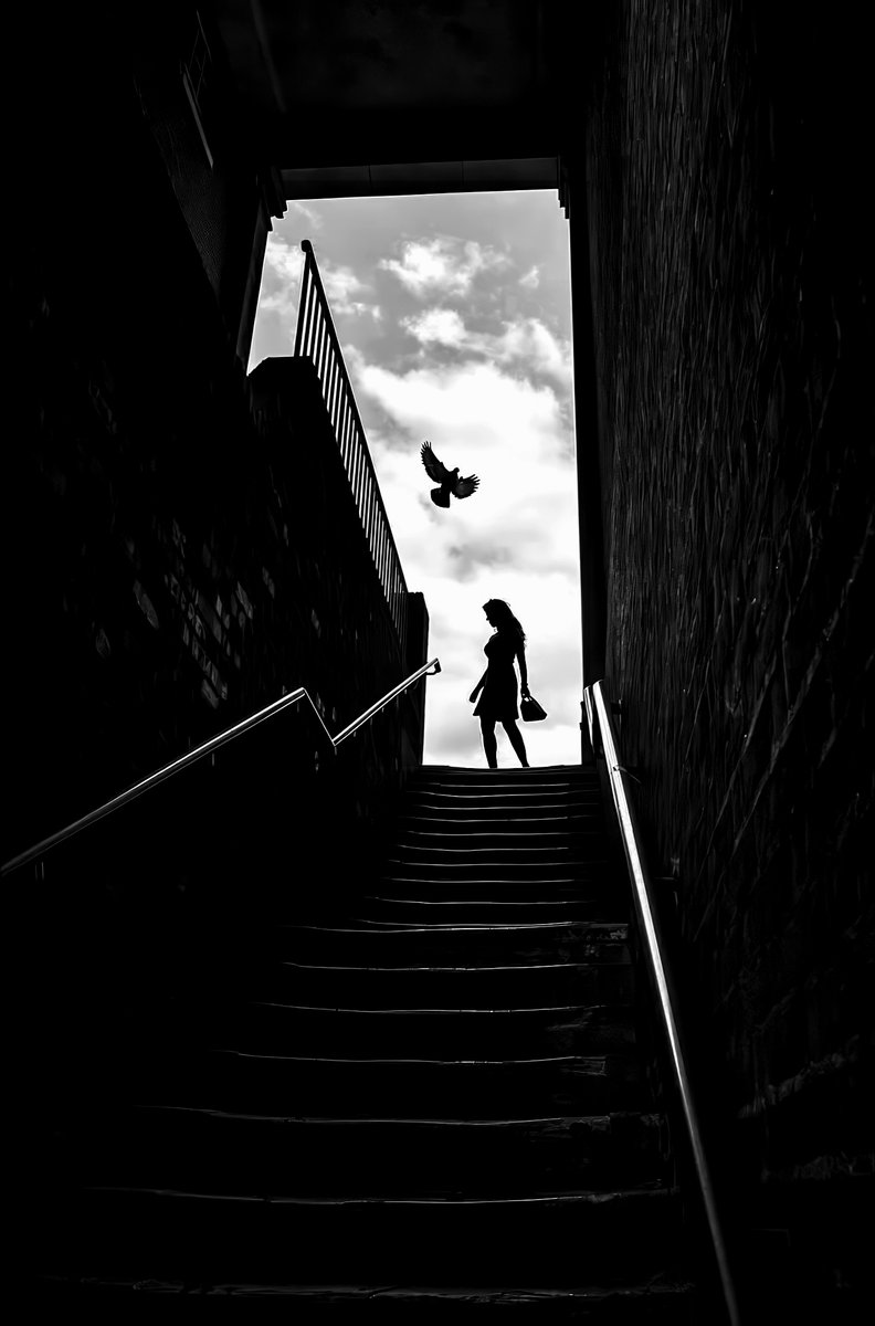 CameraLab tweet media