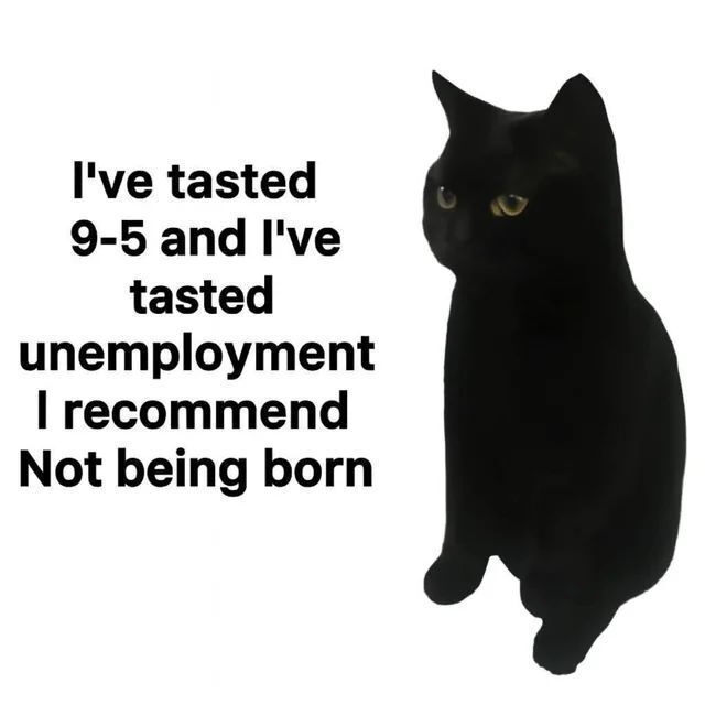 Tweets Of Cats tweet media