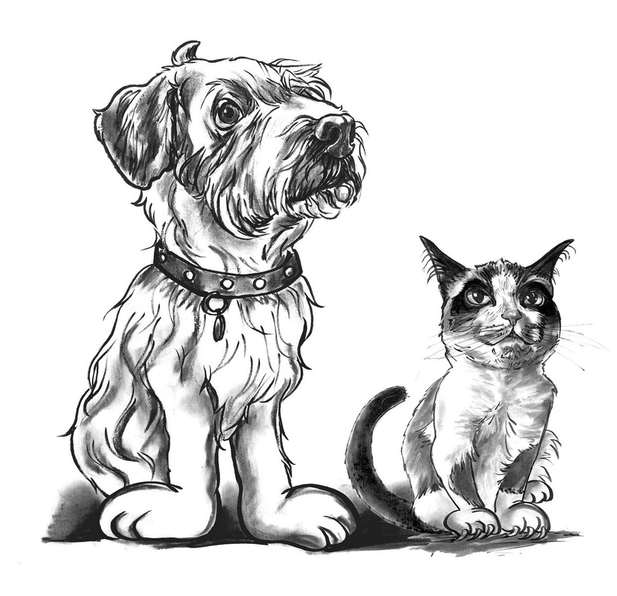 David y su palico Rumalda 🐱 tweet media