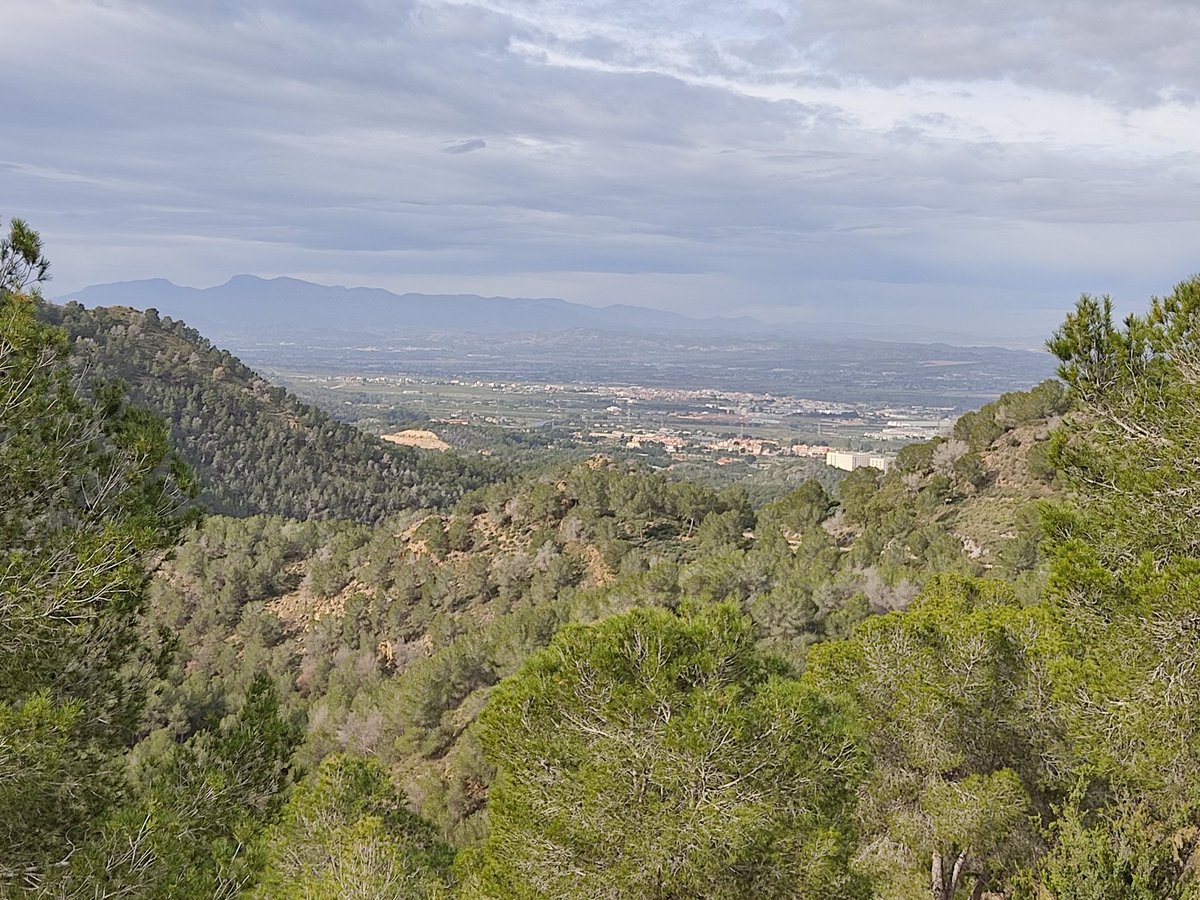 De ruta por el Sequén #Murcia 
Al fondo #ElPalmar
#VamosAlcaraz 
#AustralianOpen2026