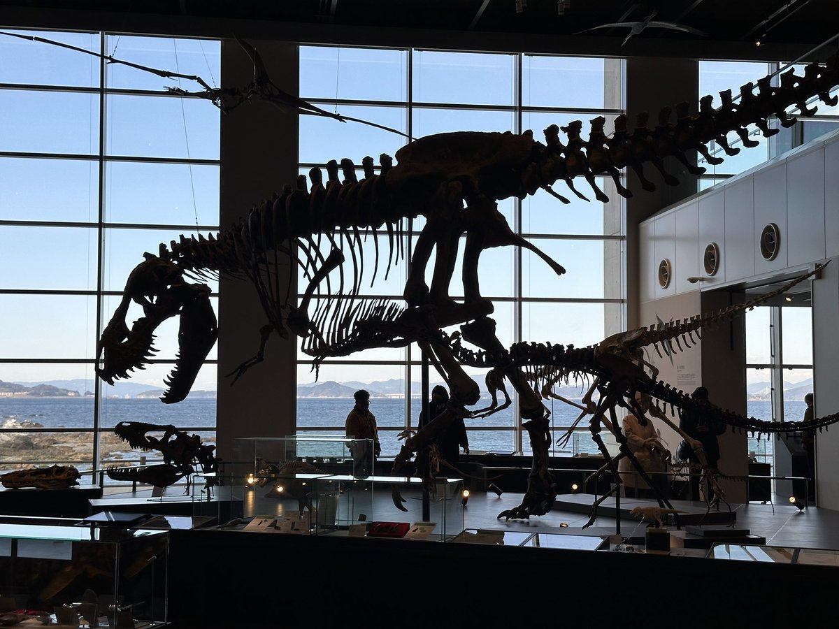 TUTU_Primeval's tweet photo. このティラノの巨大さが伝わる展示空間、素晴らしいと思います https://t.co/fDQZtli4AO