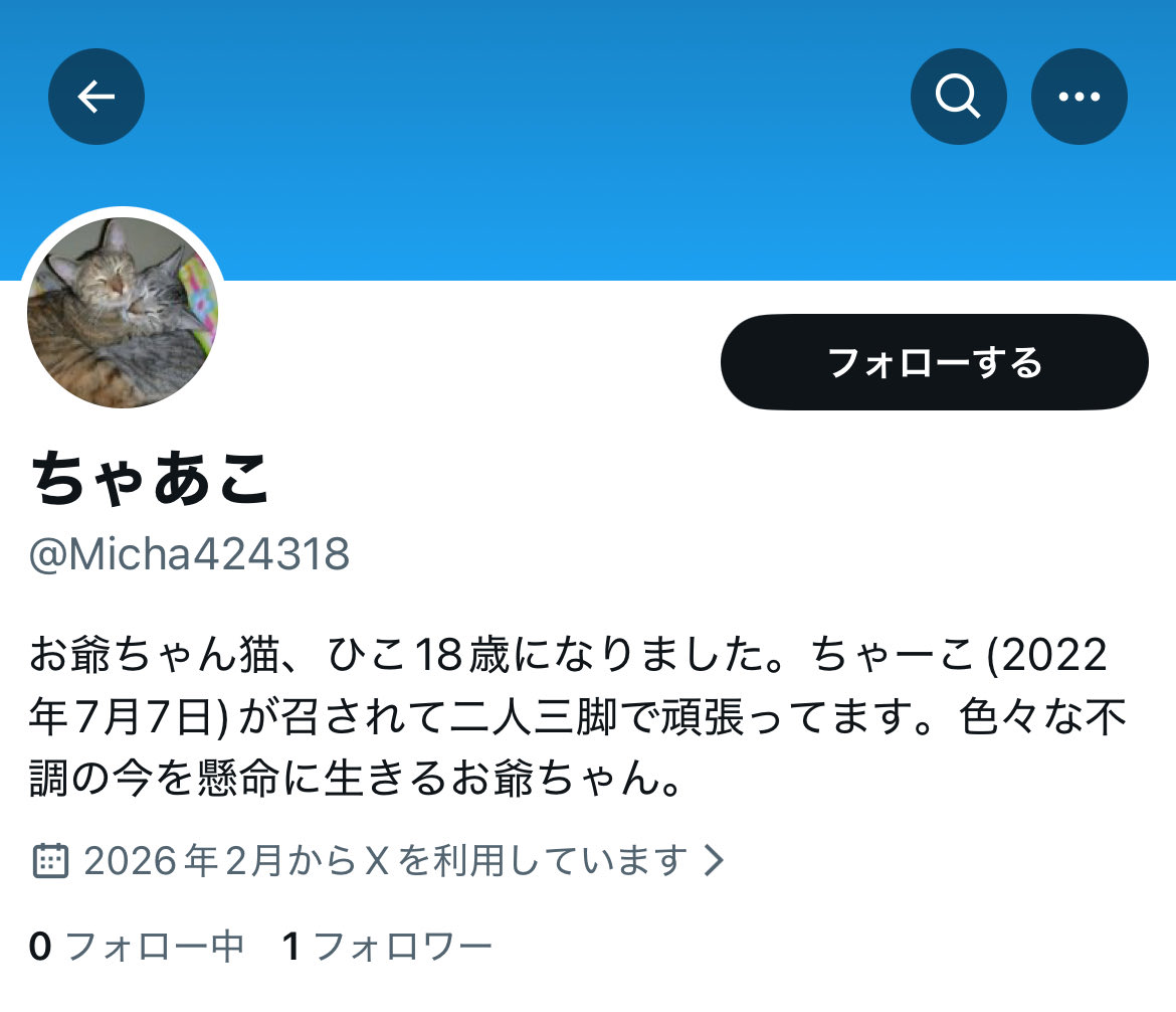 なりすましが現れました💦 お時間のある時に通報の協力して頂けると