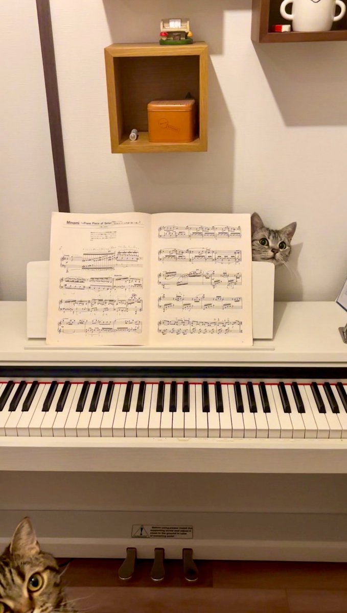 Ryo-1(ﾘｮｰｲﾁ) (@kRCxXQ95whwSOqI) / Posts / X