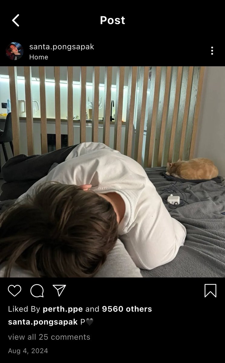 mia 🍎 tweet media