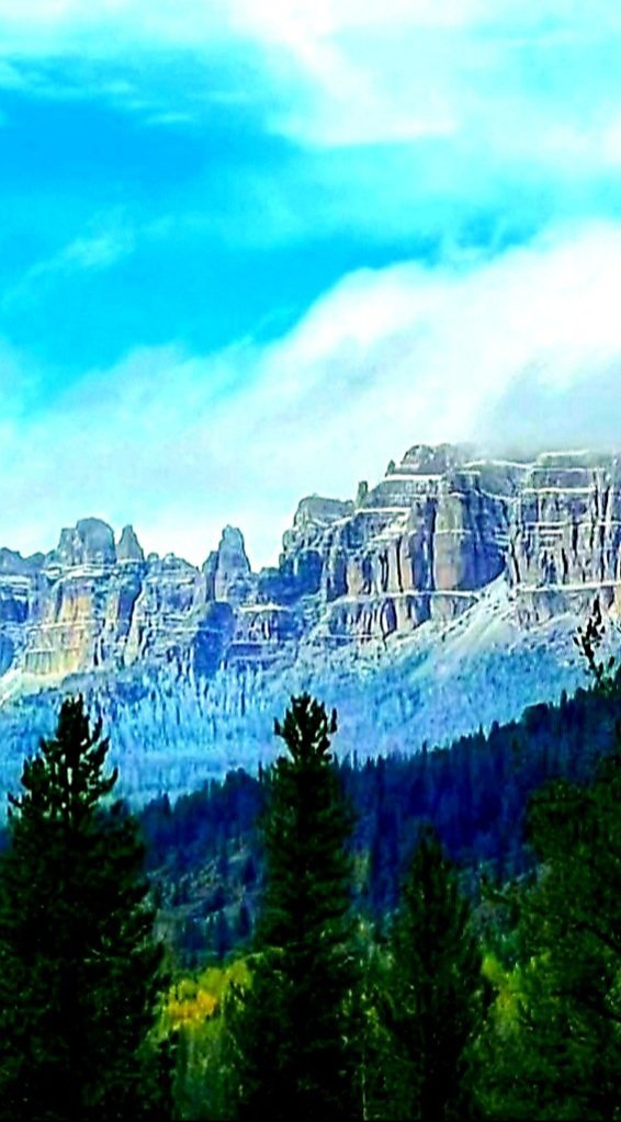 Prarie Patriot tweet media