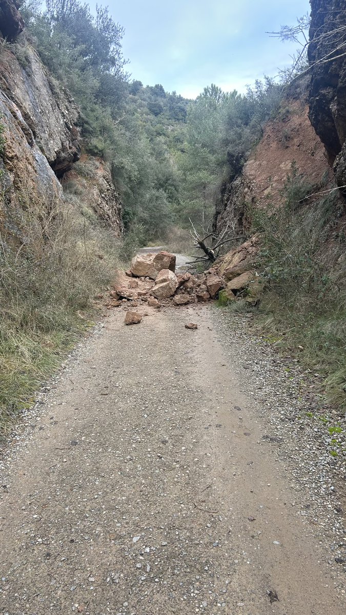peptorres14's tweet photo. Alerta!! Esllavissada camí de Pedret cap font de la vaca!! Talla tot el camí.
#berga #bergudà #forestals #policia @AjuntamentBerga #crecs https://t.co/uFJO2XFyud
