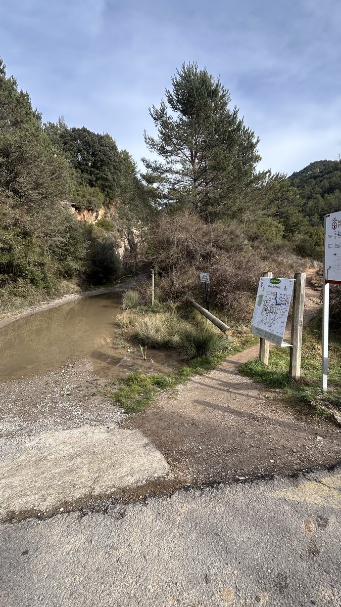 peptorres14's tweet photo. Alerta!! Esllavissada camí de Pedret cap font de la vaca!! Talla tot el camí.
#berga #bergudà #forestals #policia @AjuntamentBerga #crecs https://t.co/uFJO2XFyud
