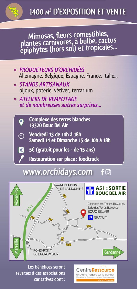 Orchidays tweet media