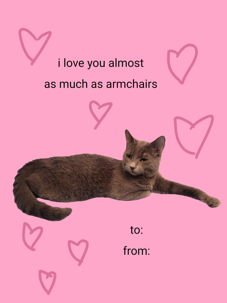 alex és rozi🧍‍♂️🐈‍⬛ tweet media