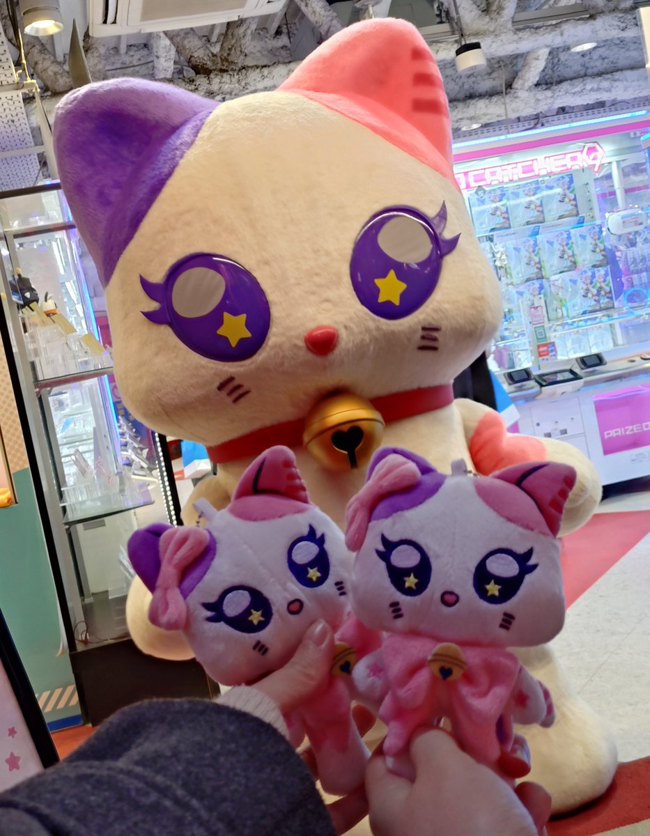 XiUqe's tweet photo. ラポスタやショケ(プレイベだっけ?)では手の届かない距離にいたミャイちゃんと触れ合えて感無量でした(ミャイちゃんのファンの方) https://t.co/yYh72MQSvd