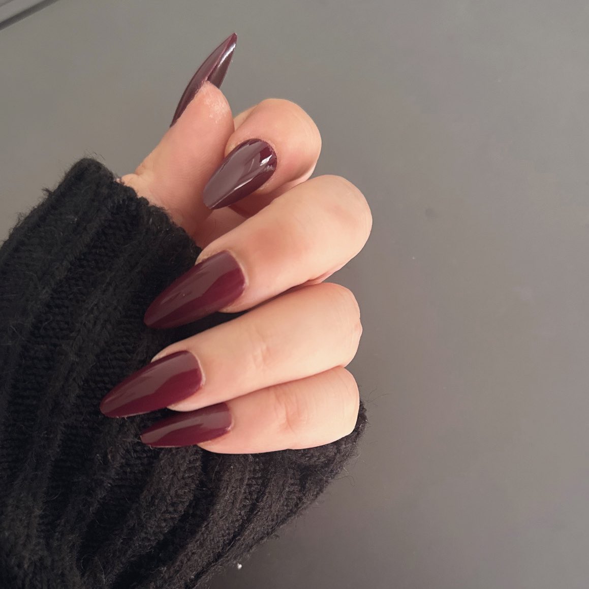 Tyrannosaurus Tiny tweet media