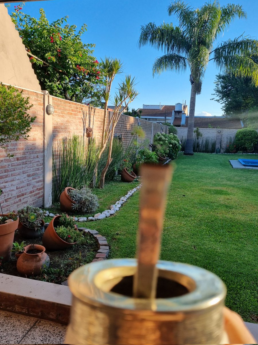 Buen domingo para todos los que detestamos a este gobierno de mierda. Pasemos el mejor día posible  💪