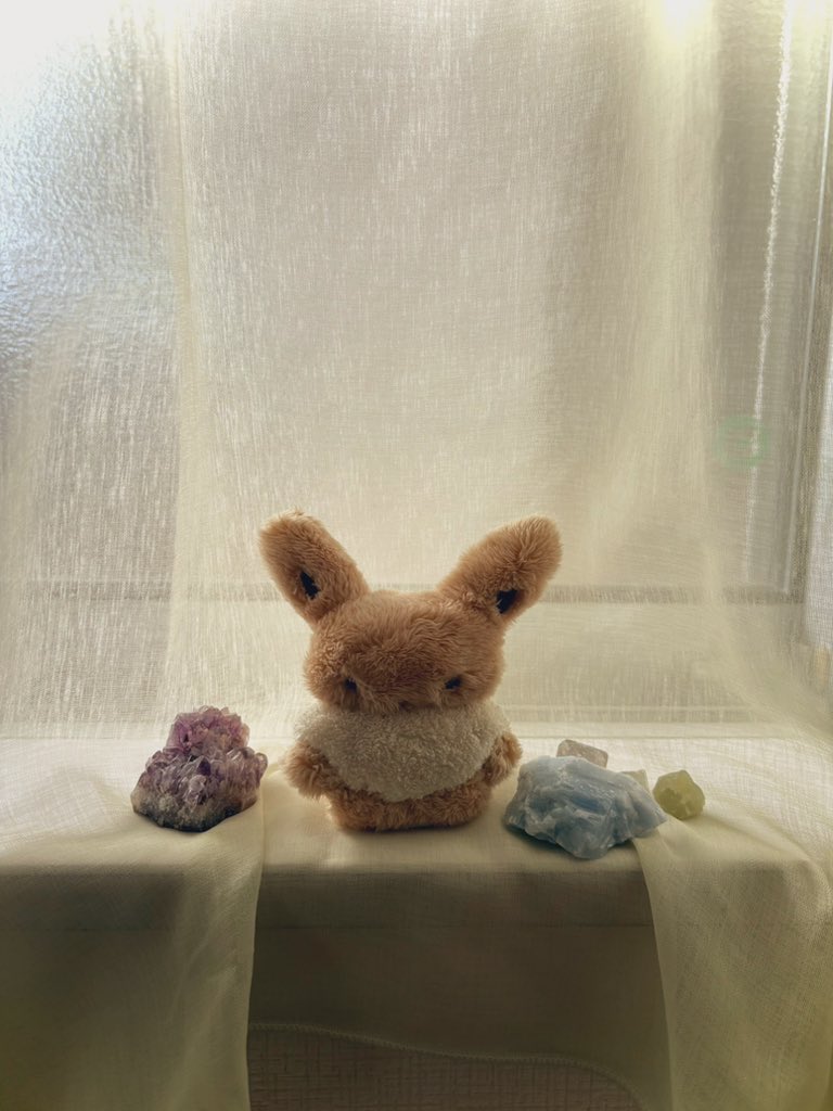 coma︎︎ tweet media