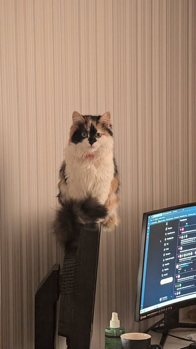 Taras Shopa tweet media