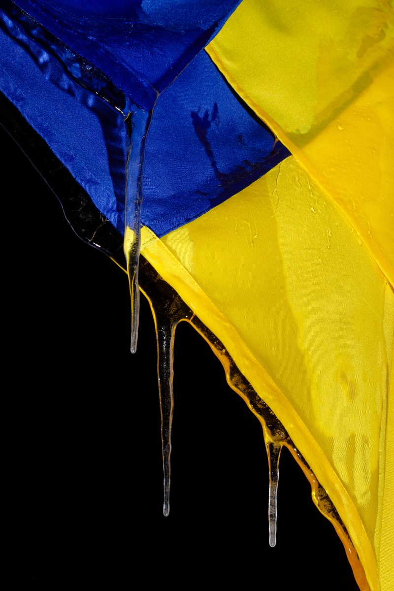 Mykhaylo Palinchak tweet media