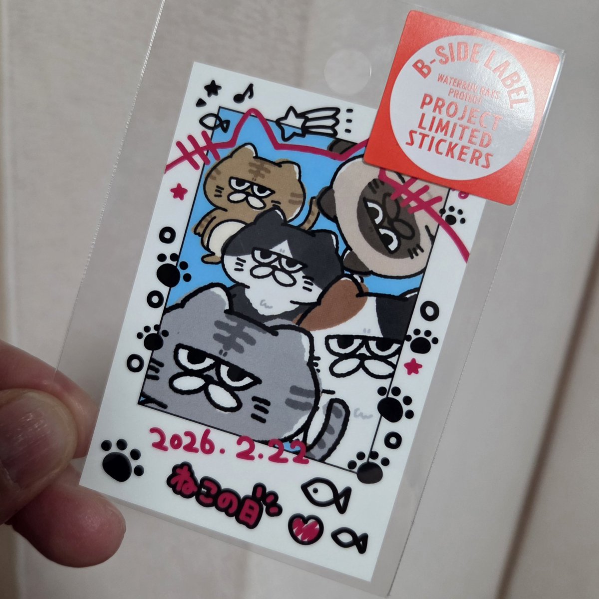 かぁいい( ´,,•ω•,,`)