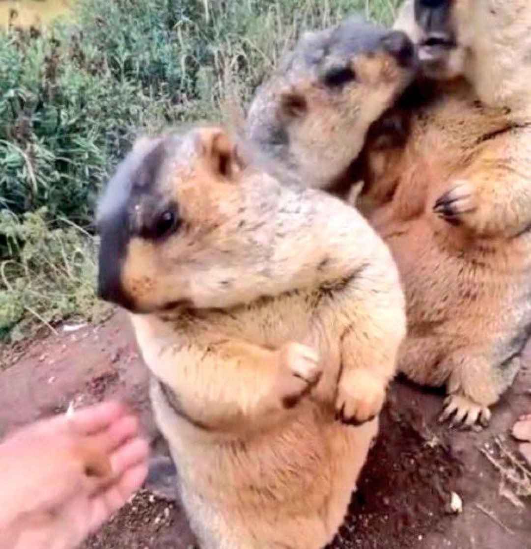 @Sunshine🌄 tweet media