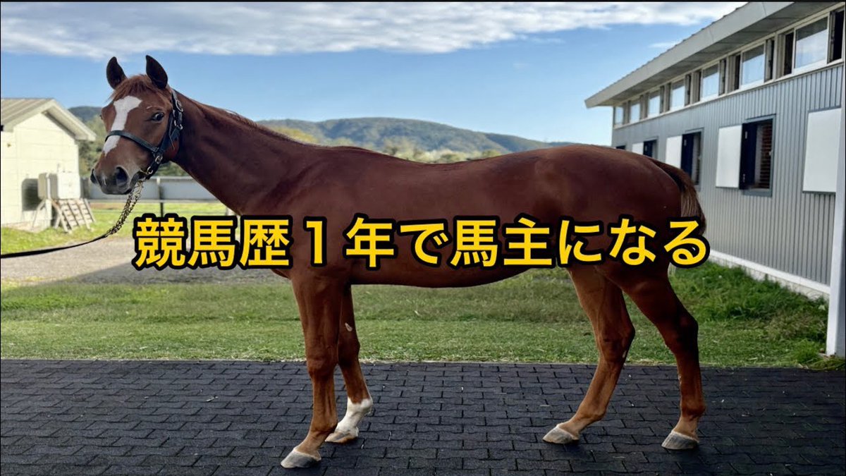 【YouTube】

YouTubeにて新しい動画公開しました。

今回は
【馬主】競馬歴１年で馬主になった男、感動の対面を果たす

youtu.be/EzOv4UrEoAI?si…

ボーカルのヨッシーが早くも？遂に？馬主になりました。

可愛いお馬さん観てやって下さい。