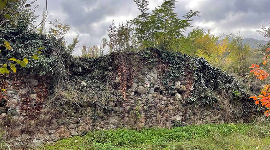 Sahibini Bekleyen Selam: Bitinya’dan Kurtköy’e

sapanca.info/sahibini-bekle… 

#Sapanca #SapancaGölü #SapancaINFO #Kurtköy #Selam