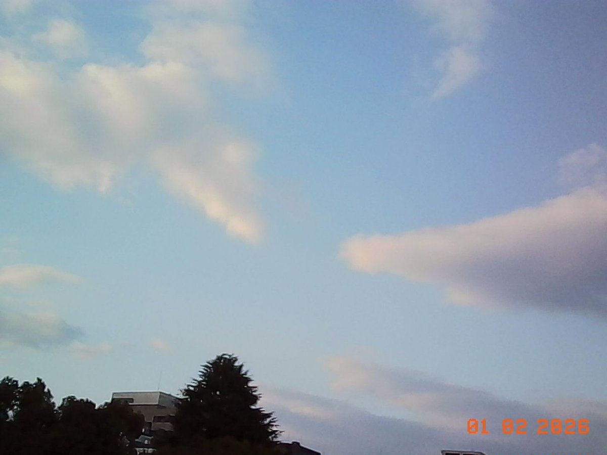 コダックのトイカメラ素晴らしい！