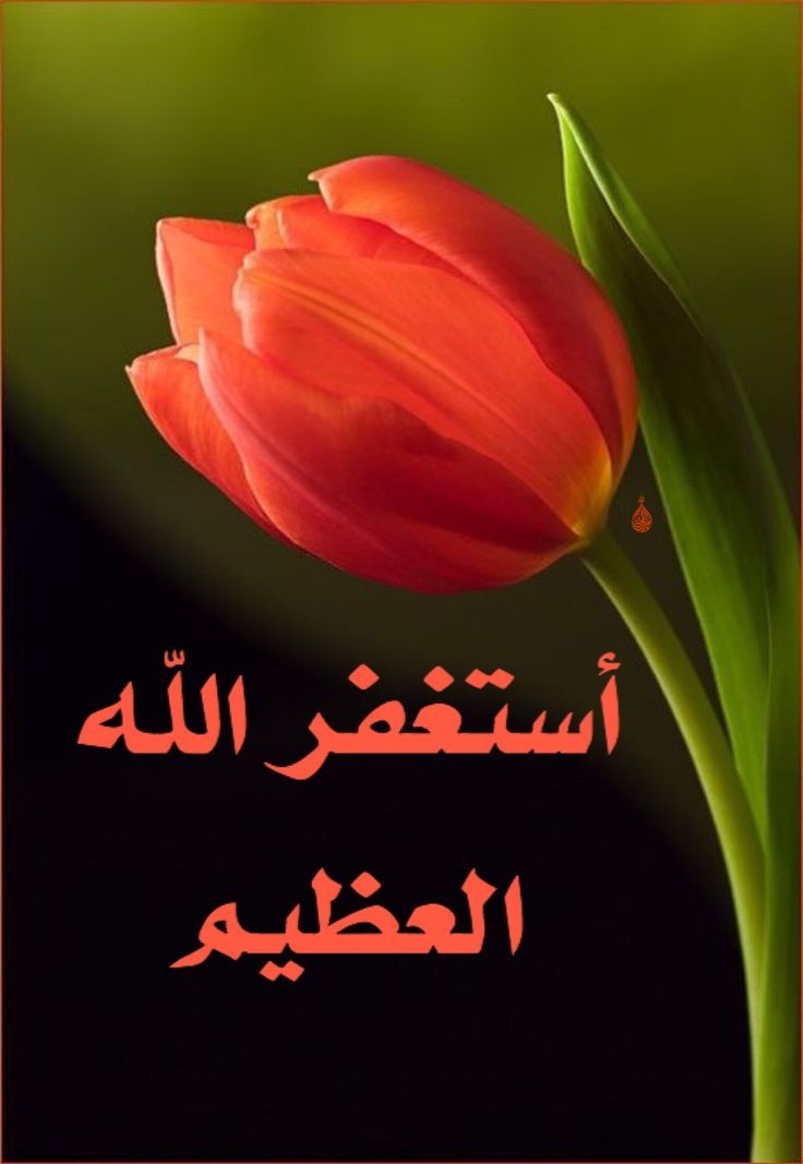 S Rahe tweet media