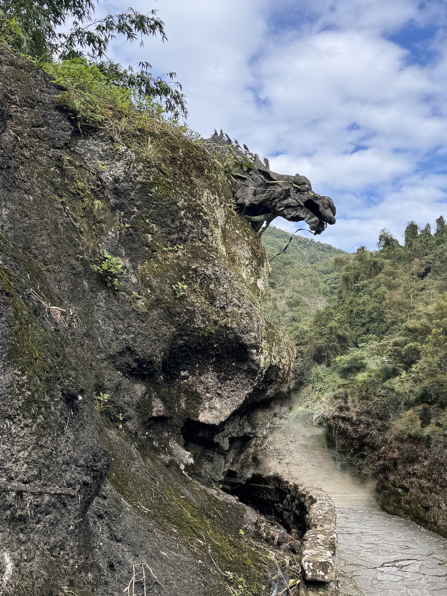 ZenMindStudio's tweet photo. What did you find on the corner? Whatever you encounter can become material for creation—turn it into a creative experiment. https://t.co/yEFedDVL4b