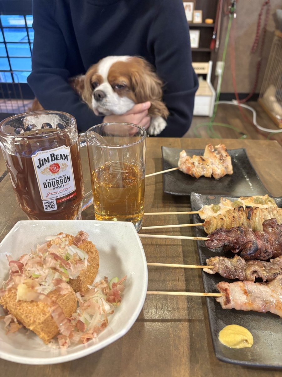 misa_cavalier's tweet photo. 今日の串銀蔵🐶🐶
とってもかわいい素敵なクリアファイルをいただきました✨
ありがとうございます🤍 https://t.co/3AmS6McjiG