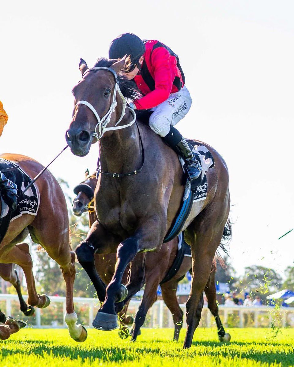 Michael Lane Racing tweet media