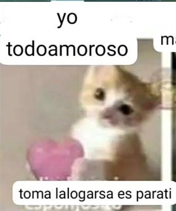 Si no me hubieras arruinado la vida no te mandaria ala verga