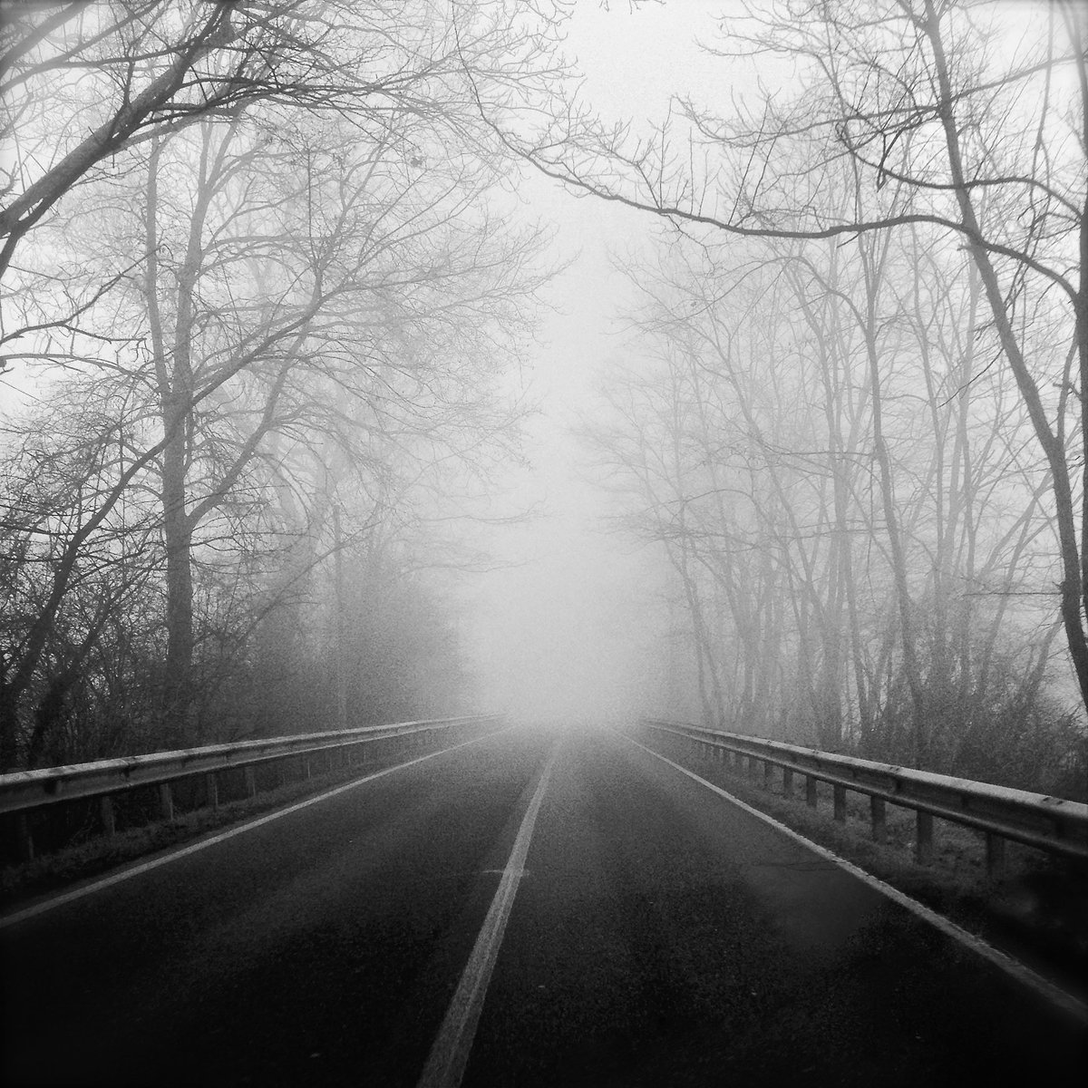 La nebbia racconta che c’è sempre una via d’uscita, anche quando non sembra.