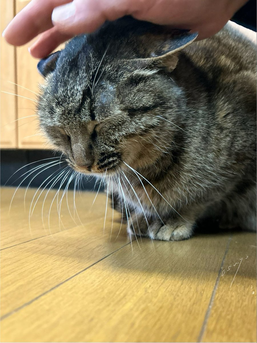 Ryo-1(ﾘｮｰｲﾁ) (@kRCxXQ95whwSOqI) / Posts / X