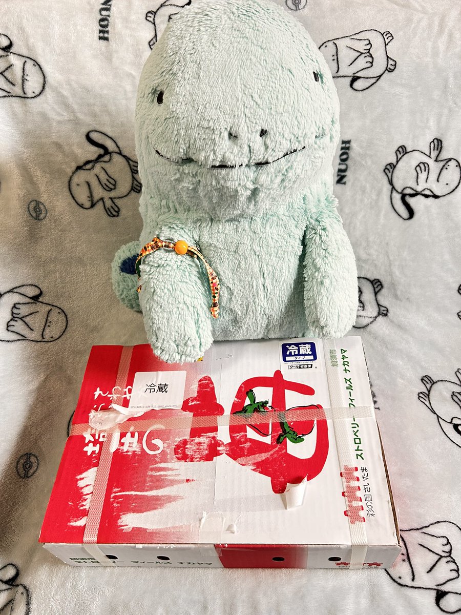 お届け物が届きましただぬよ🍓

私いちごとメロンが果物の中で大好きです🍓🍈

前にぴょんぴょんママさんから頂いたいちごが今まで食べた中で1番好きになりました😊

わがままを言って送っていただきました🥰
ぴょんぴょんママさんありがとうございました😊
<a href="/pyonpyon0405/">ぴょん×2ママ</a>