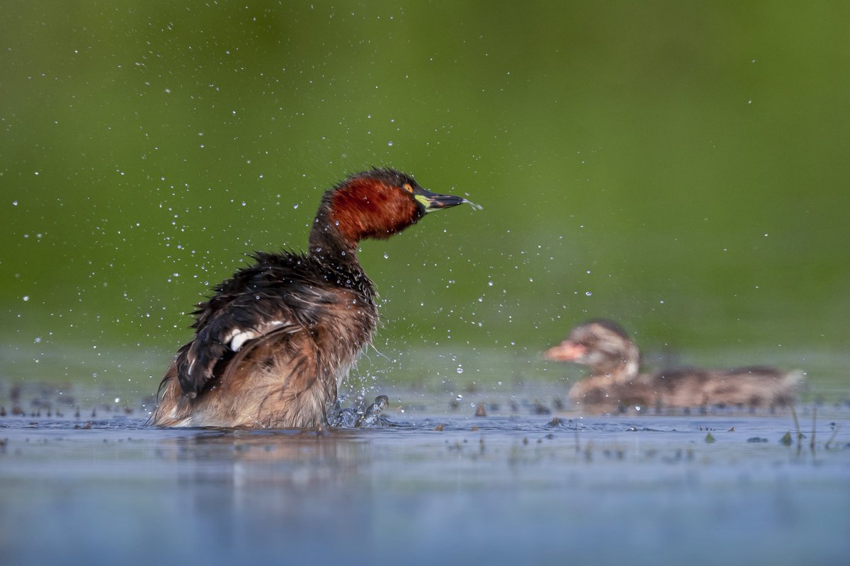 Kirti Vardhan Singh tweet media