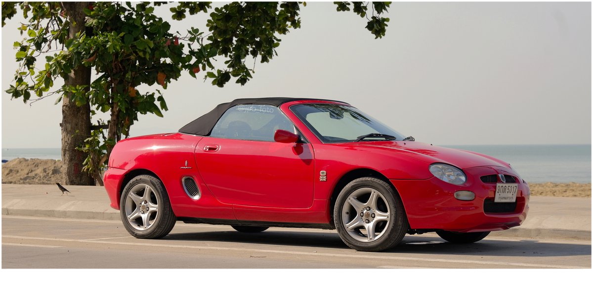 PJ 📷📹🤳 tweet media