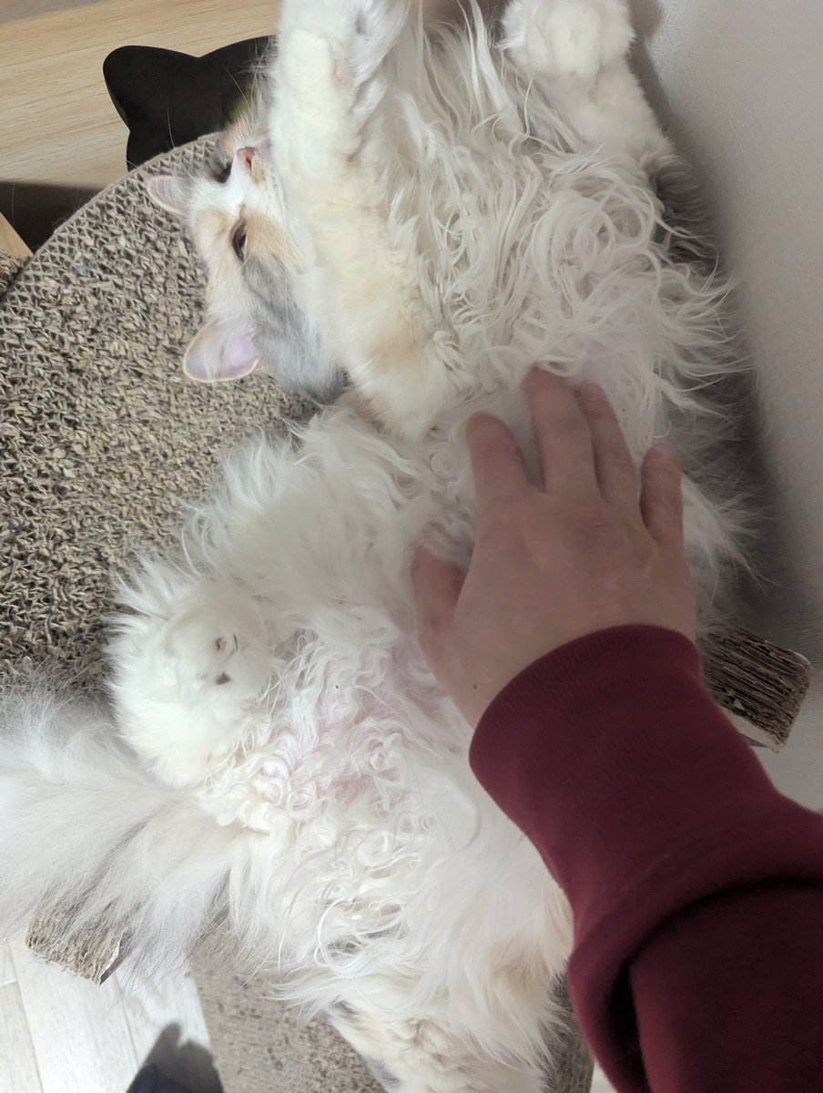 かずまる (@kazmaru_son) / Posts / X