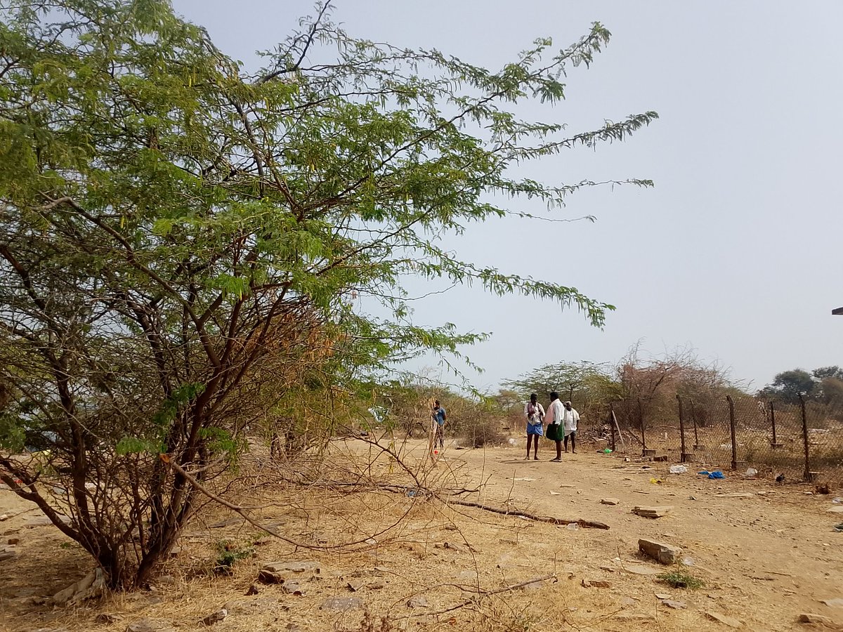 Sharath Chandra Reddy tweet media