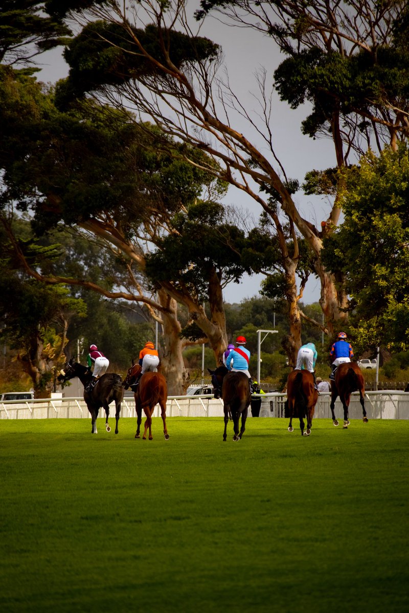 Sinethemba. tweet media