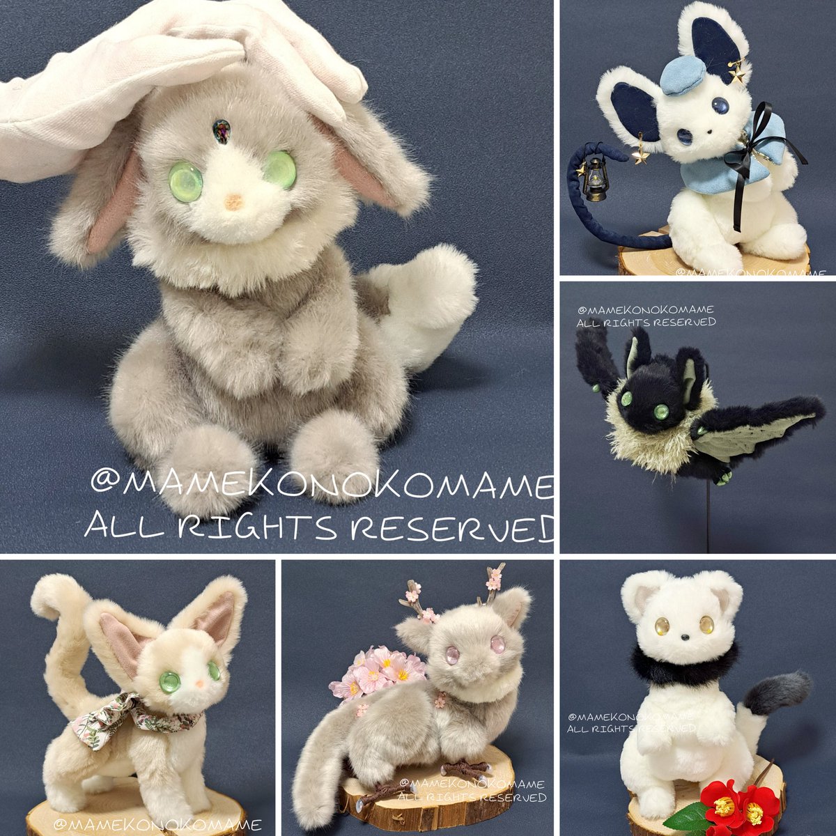 まめこ (@Mamekonokomame) / Posts / X