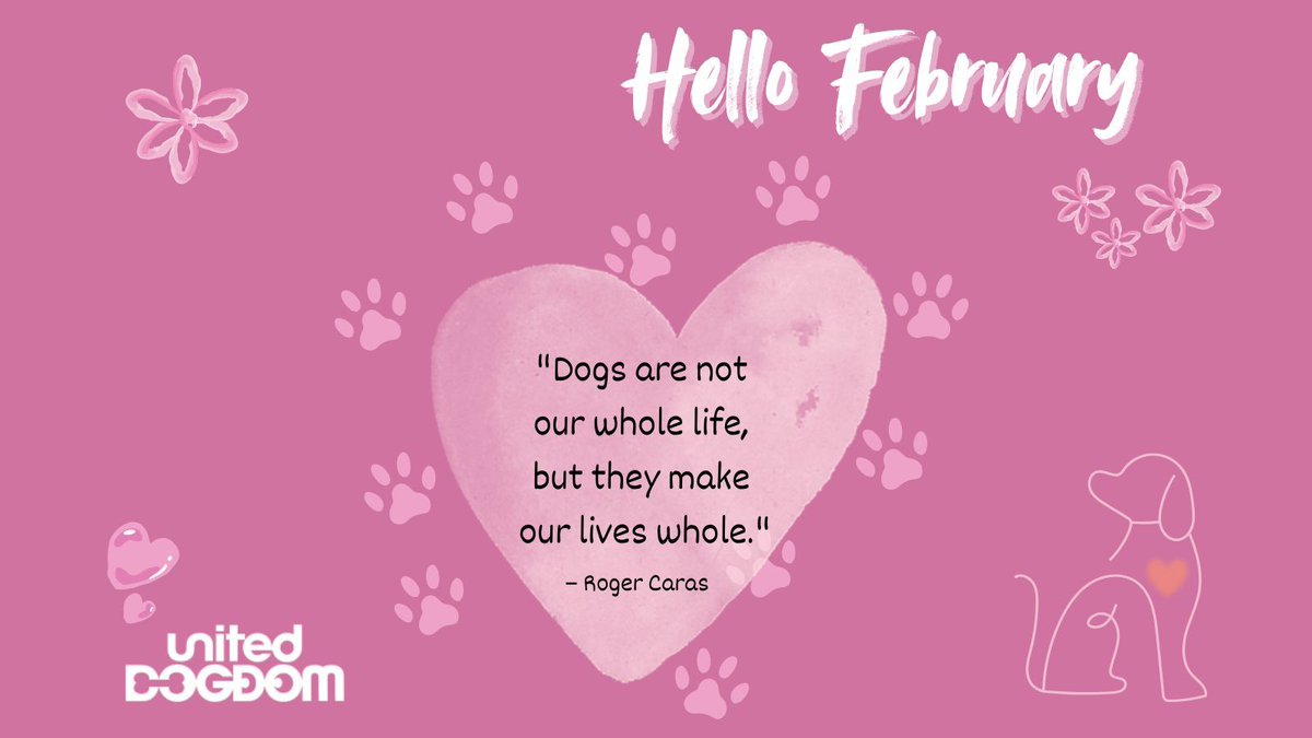 Hello #February, the month of love. Let's celebrate love and all the joy it brings.💕
.
.
#FebruaryLove #RomanticVibes #dogsarefamily #doglife #countrydogs #londondogs #dogs #dogwalking #frenchbulldog #terrier #spaniel #Labrador #pugs #bulldog #dogspftwitter <a href="/dotty4paws/">Dotty4Paws</a>
