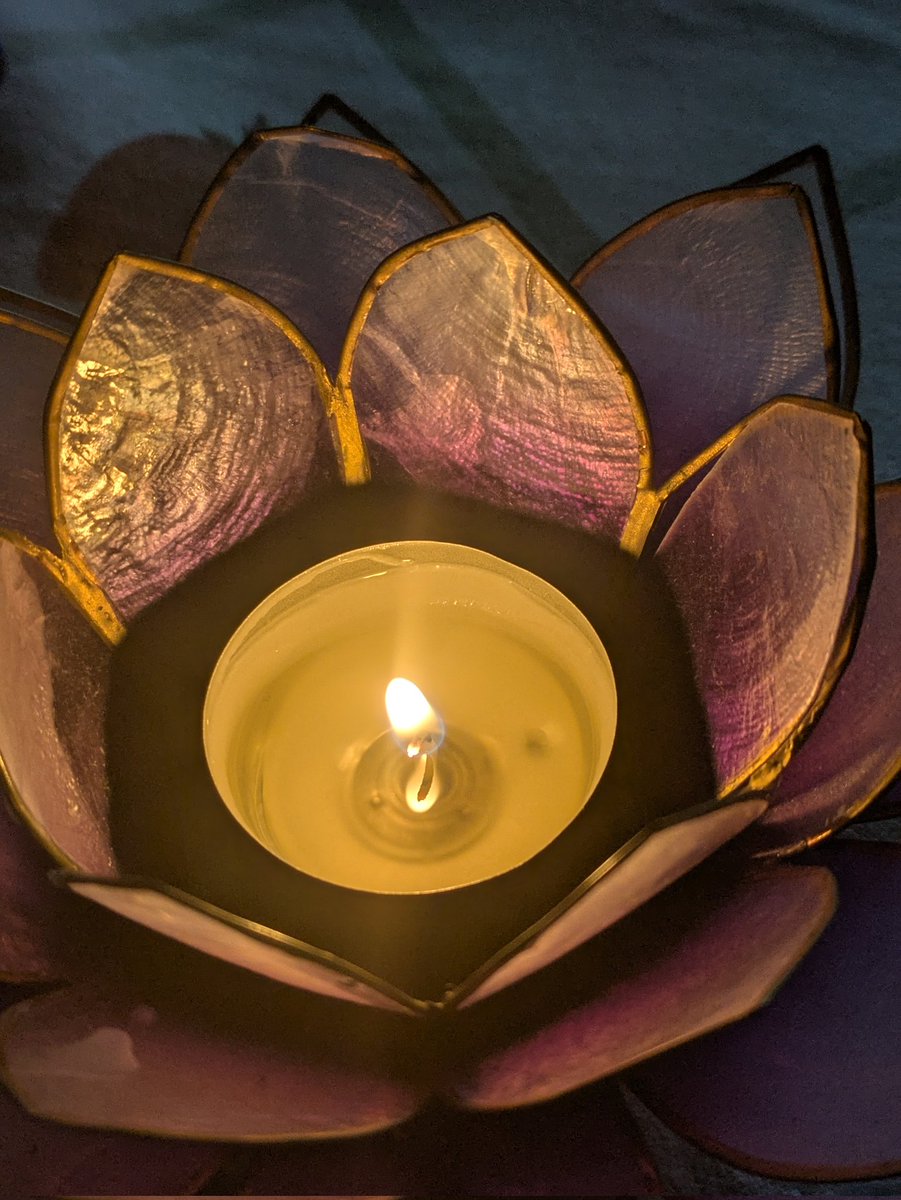 Ann Ward tweet media