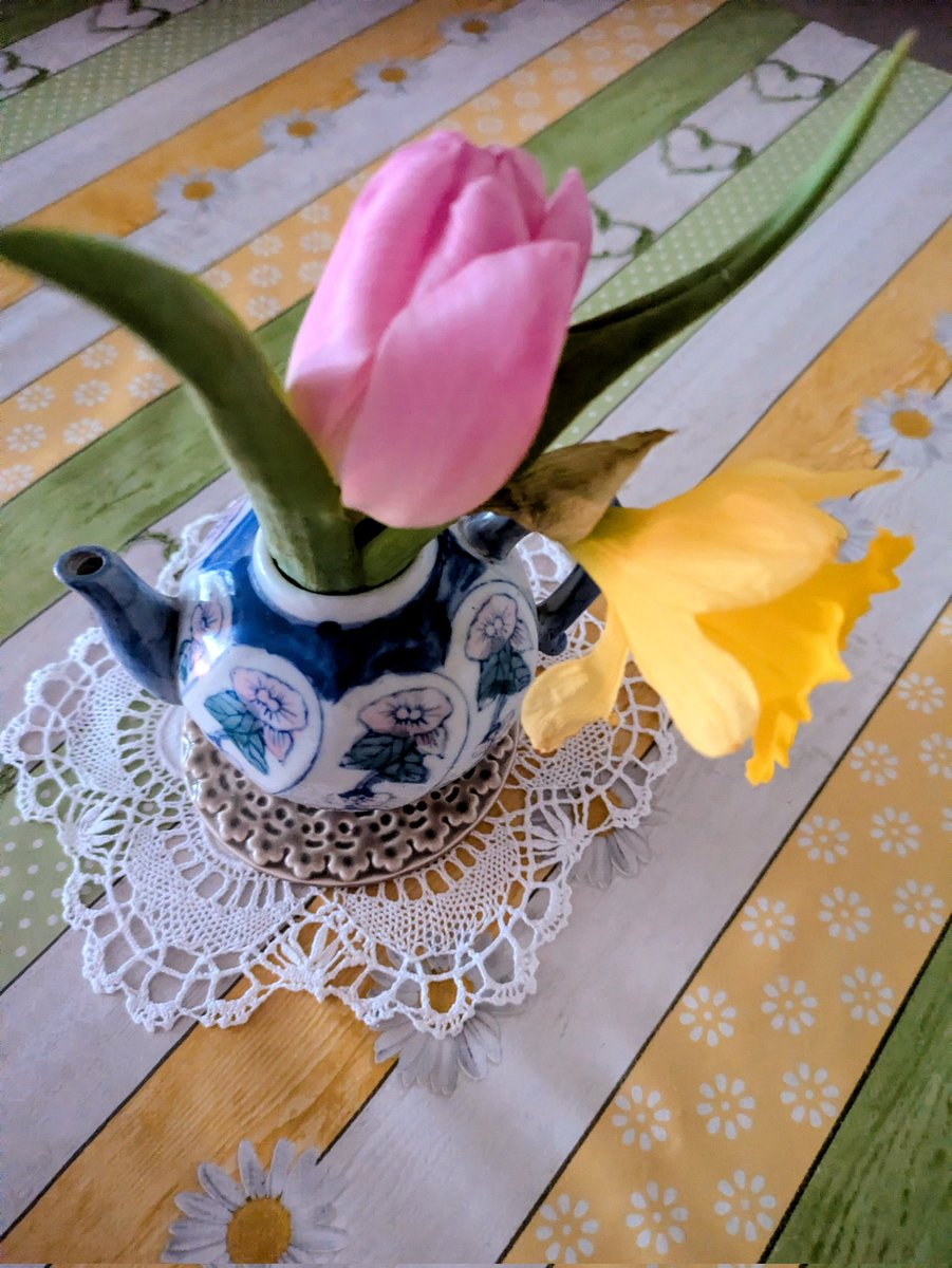 Ann Ward tweet media