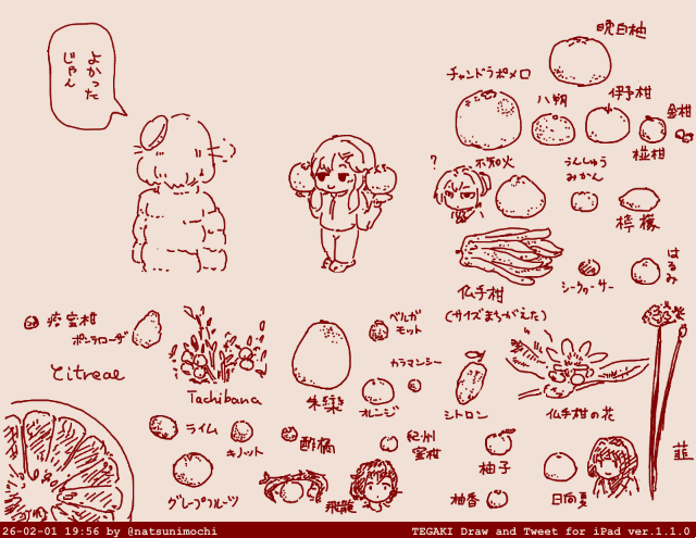 あむんこ.docs (@amu_yugo) / Posts / X