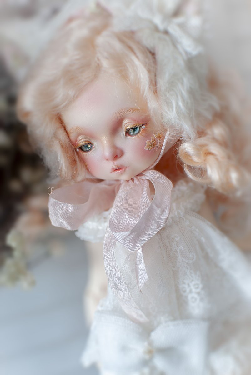 ๐ฐ๐ฎ๐ท๐ฝ๐ต๐โก๐ซ๐ฎ๐ช๐ญ๐ฎ๐ญ tweet media