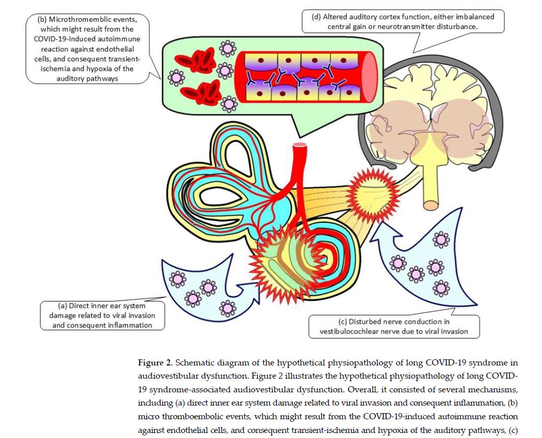 Harry Spoelstra tweet media