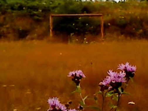 En un món fagocitat progressivament per la imatge asèptica i detallada del 5K, i per paràsits de la IA com Aronofsky, tal vegada l'autèntica subversió dins els circuits «populars» sigui el manifest iniciat per Sang-Soo i Koberidze: una defensa orgullosa de la imatge imperfecta.