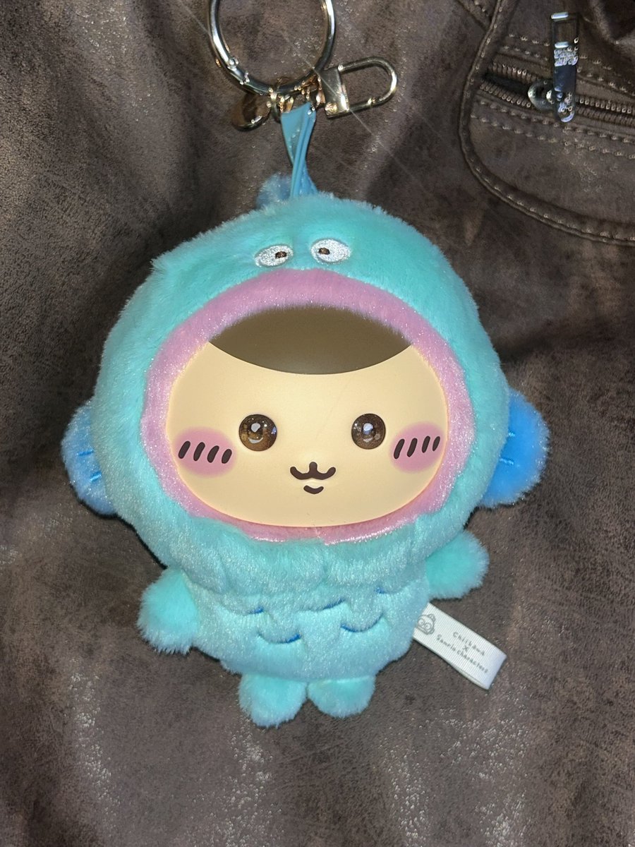 진짜 개 미치게귀여운 쿠리만쥬교동이도 삮어..💕💕💕💕