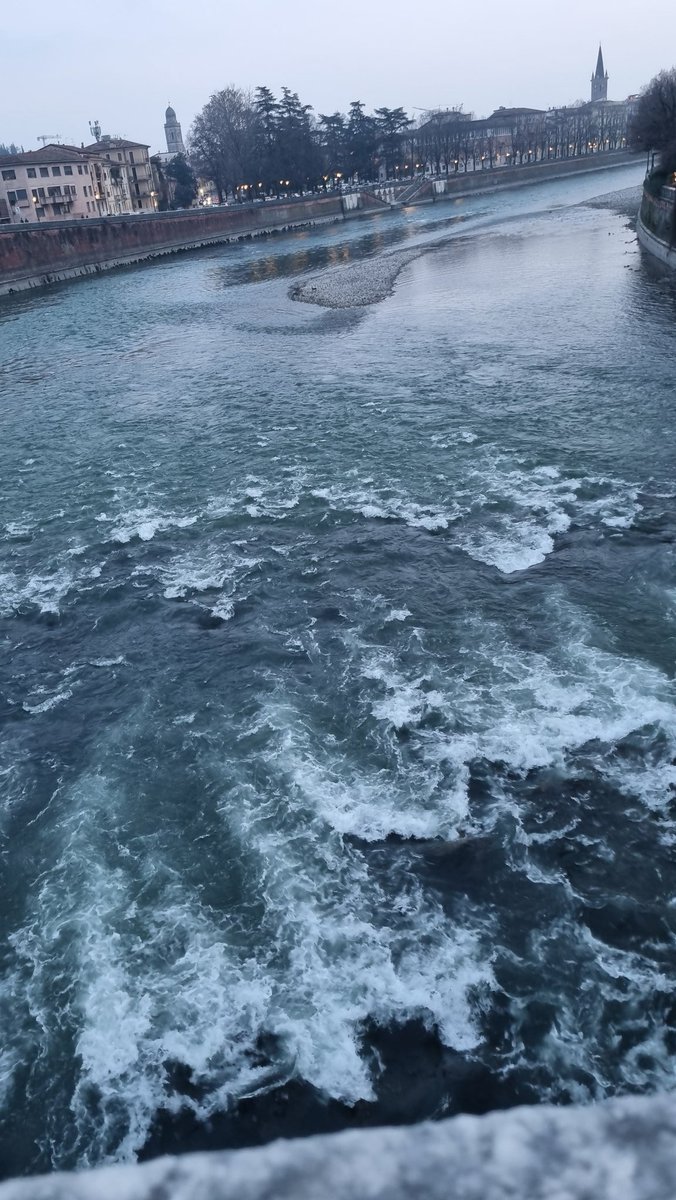 Meriç Albay tweet media