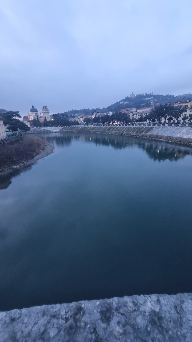 Meriç Albay tweet media