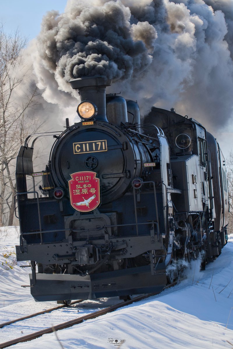 ゆきんこページ Amazon.co.jp: ゆきんこ: ミュージック